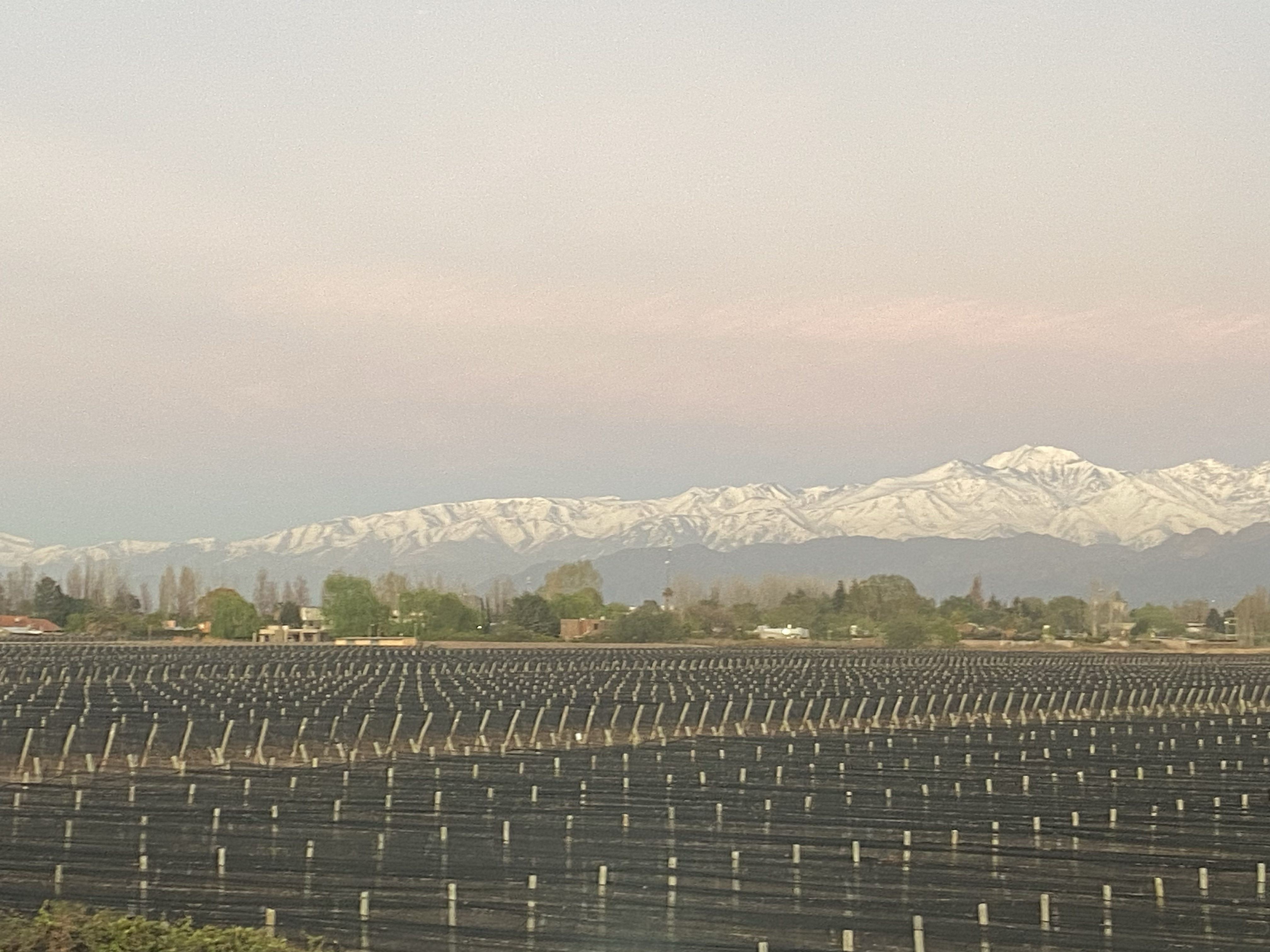 Mendoza, Argentina Photo Gallery